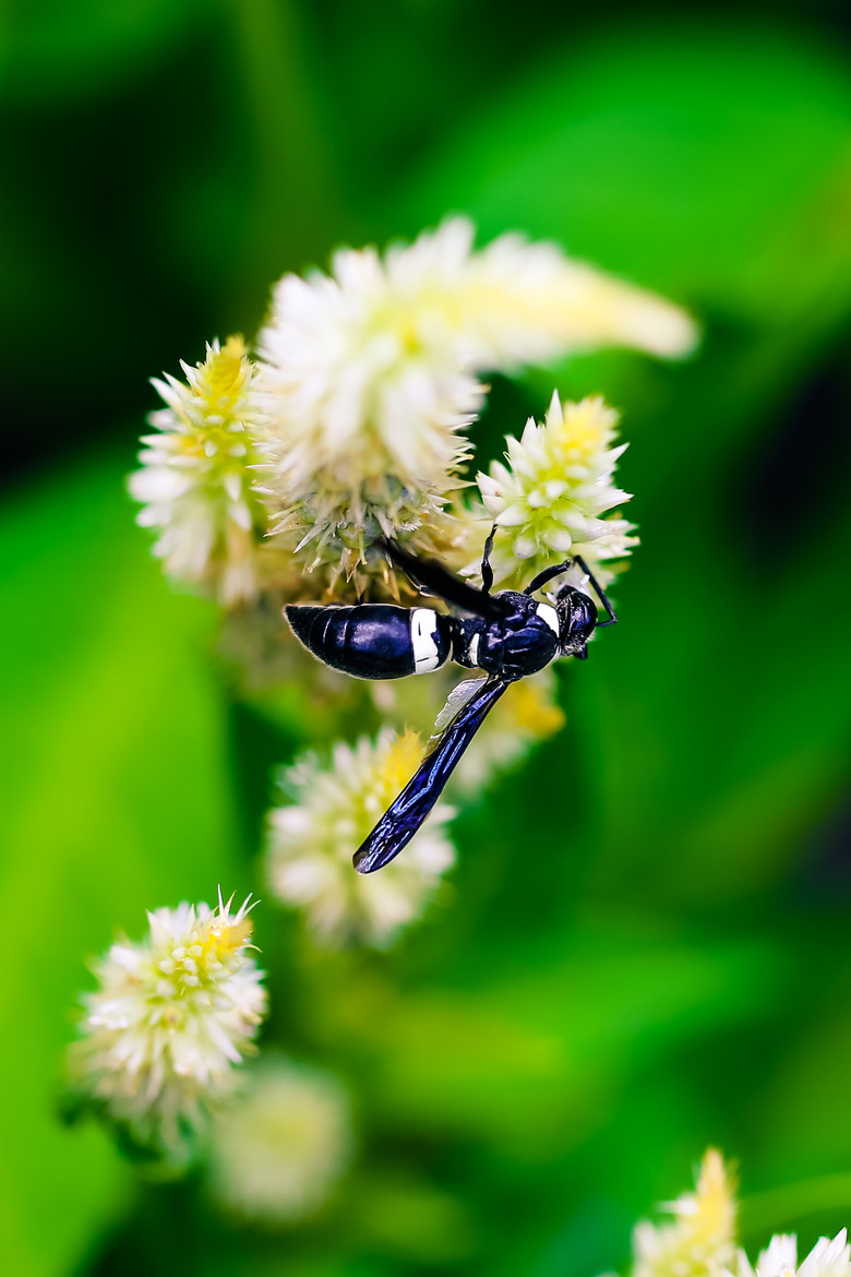 Upside-down balance by Amarpreet Kaur