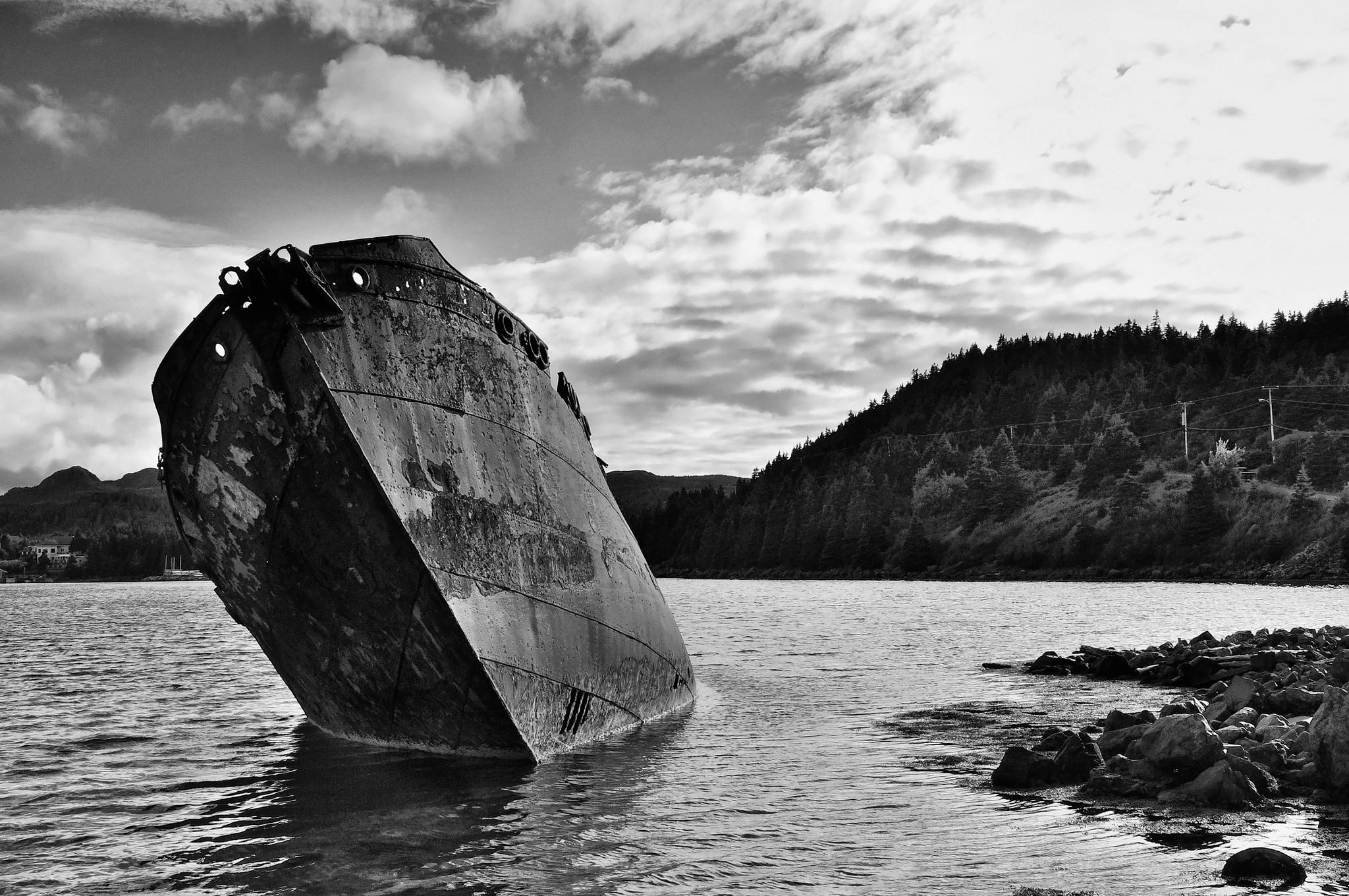 Whaler Wreck - SS Sposa by Curtis Button
