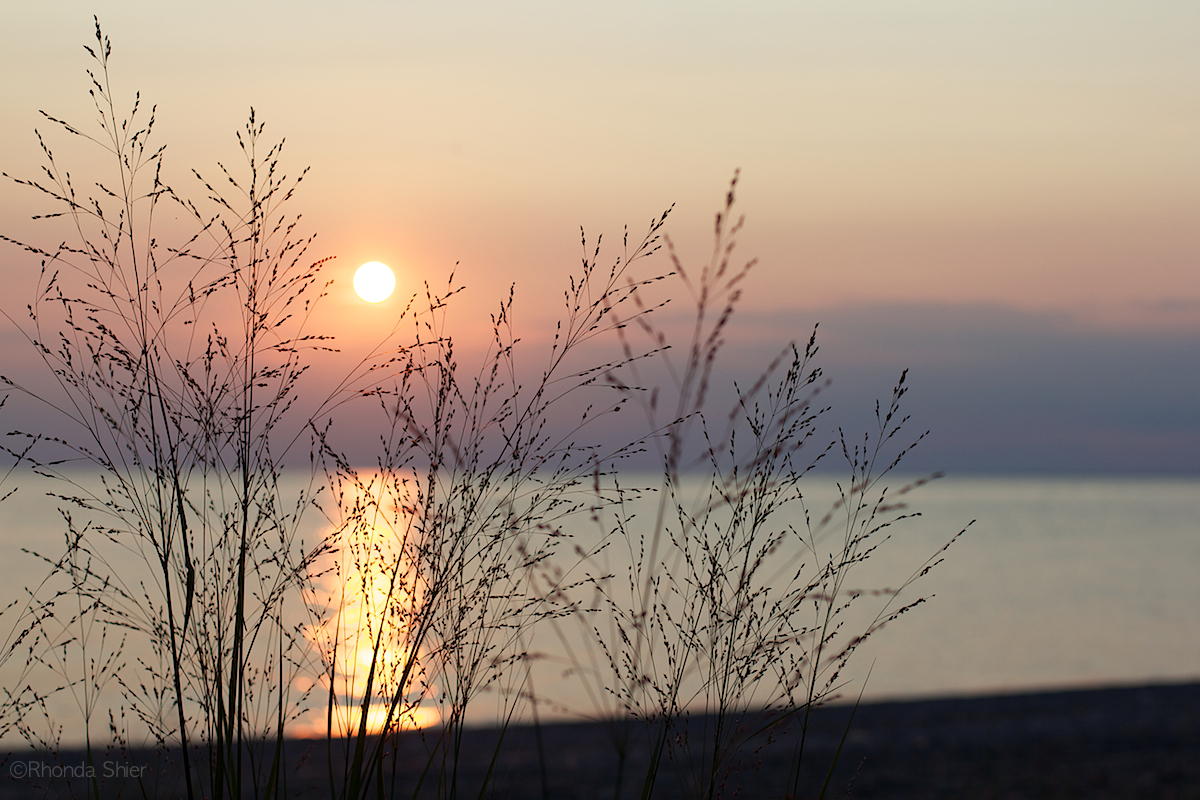 Point Peele Sunset by Rhonda Shier
