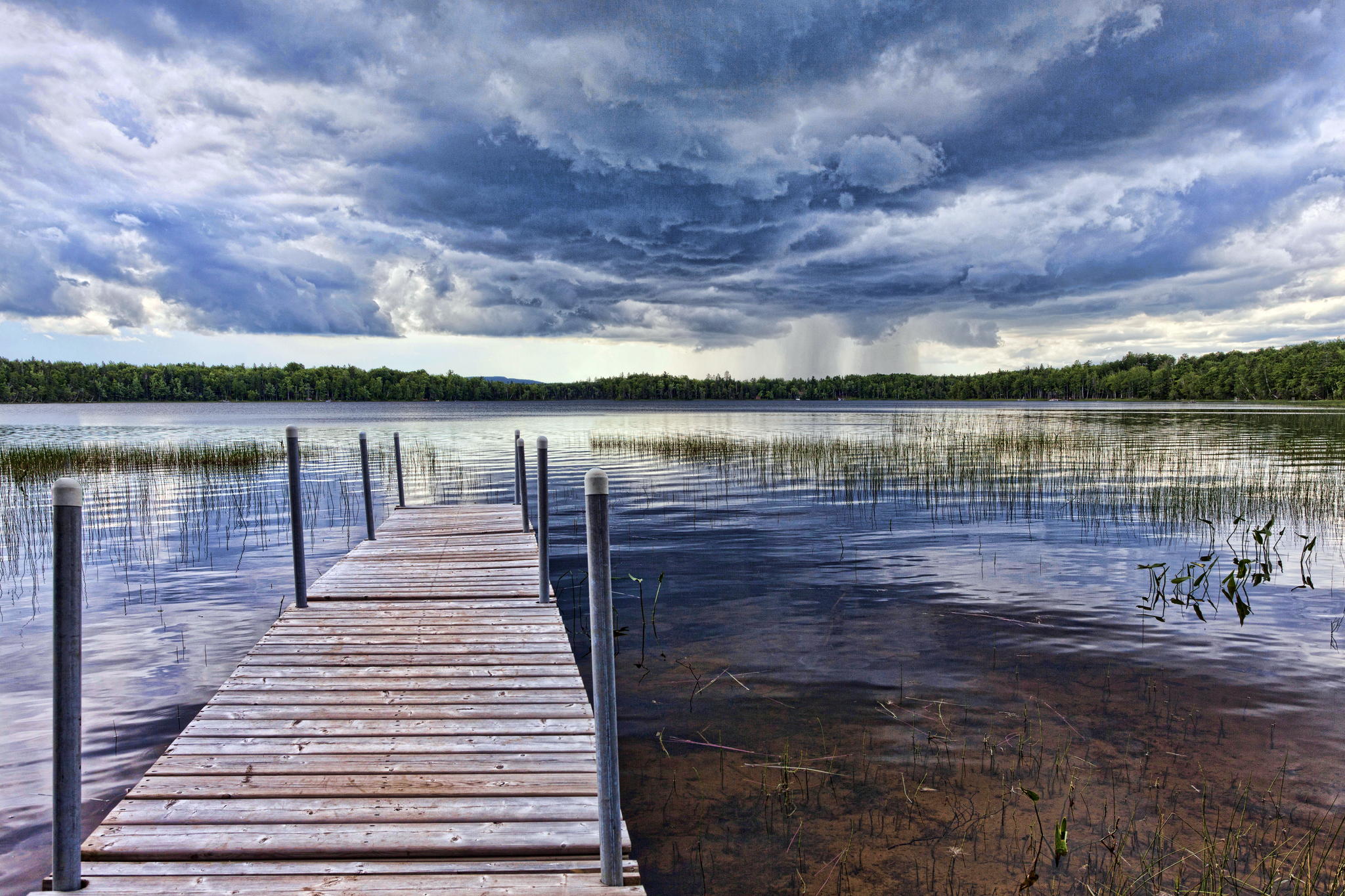 Waiting for the Rain by Paul Heyman