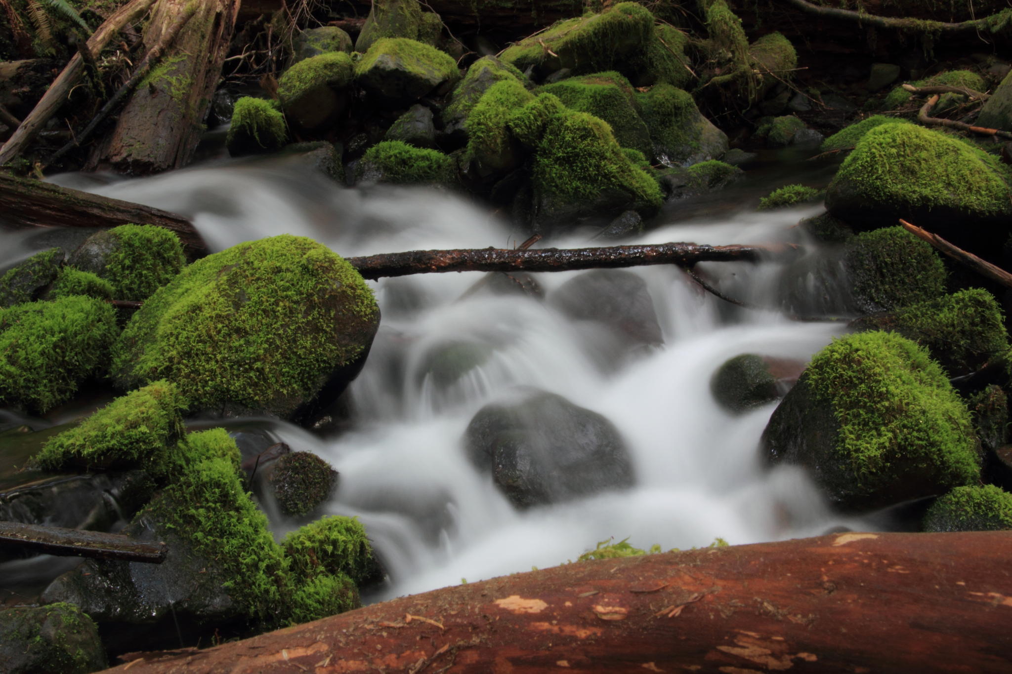 Sol-Duc Falls by Varadharajan Jayakumar