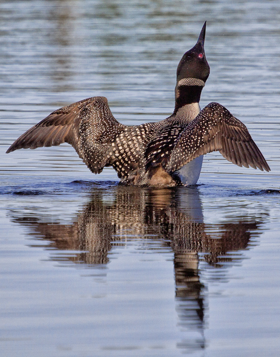 Early Morning Stretch by Paul Heyman