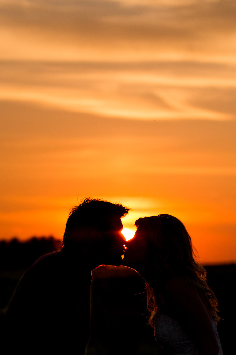 Kiss the Sun by Scott Young