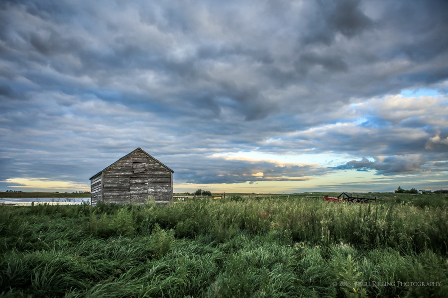 Long Gone Saskatchewan by Terri Rilling