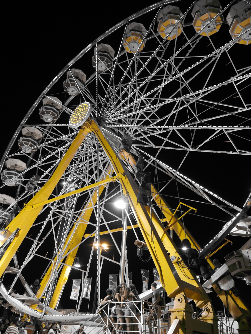 The Big Wheel by Trisha Gillings