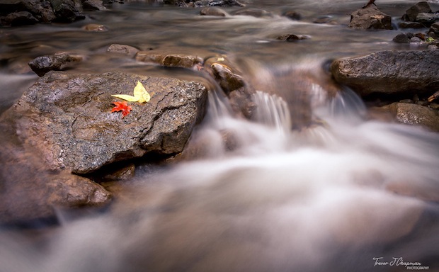 Sherman Creek by Trevor Chapman