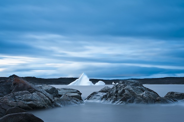 Visit from Greenland by Jason Hynes