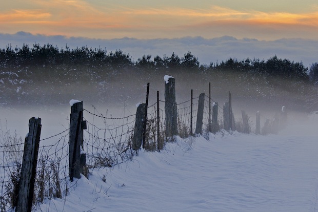 Ice Fog by Brian Eastop