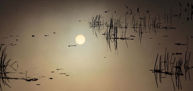 Sun Reflecting by Paul Heyman