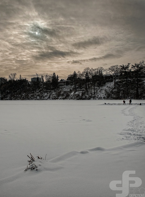 High Park by Robert Gravel