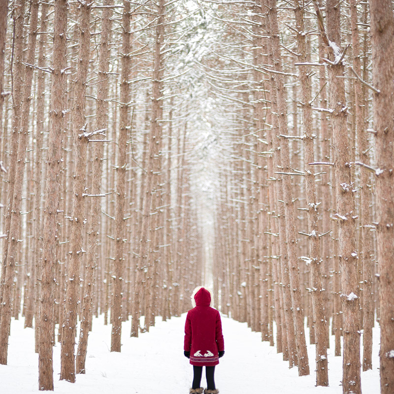 Younes Bounhar Sigma 85mm F1.4 Winter