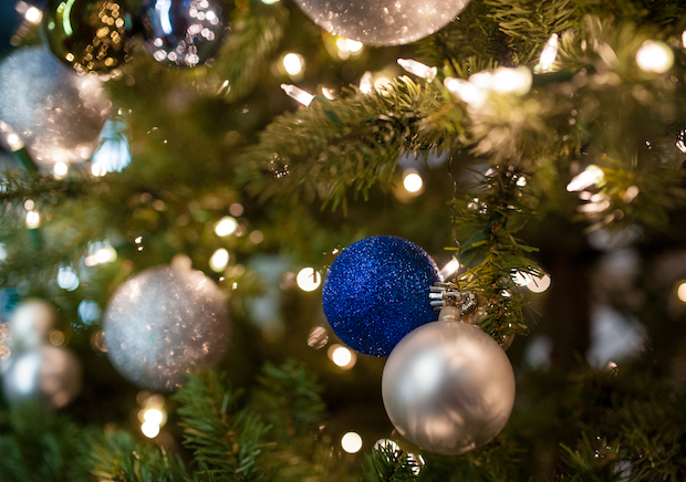Christmas Lights on the tree