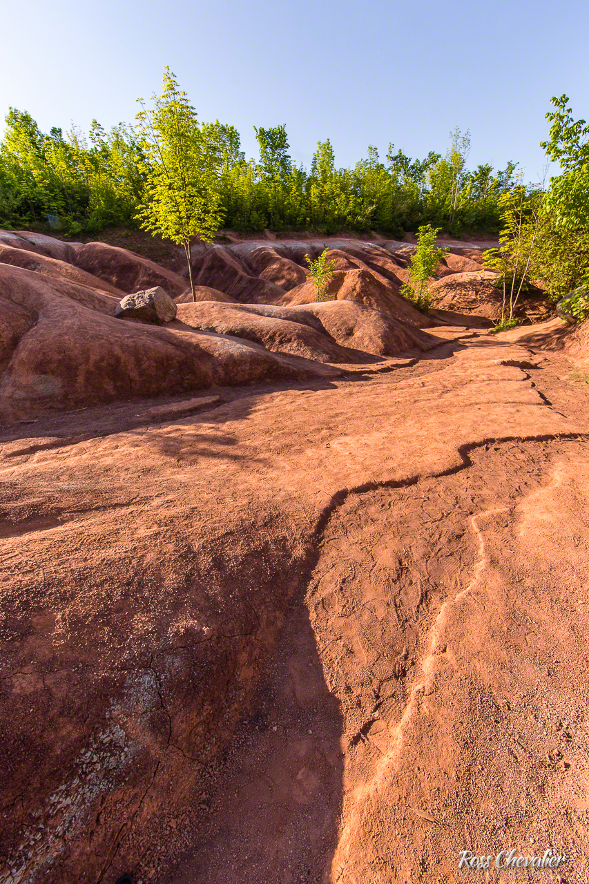 Polarizing Filter